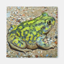 Search for will be toad magnets Amphibian
