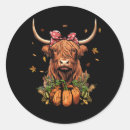 Search for highlanders stickers Autumn
