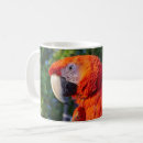 Search for cute cockatoo mugs Animal