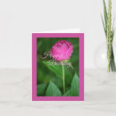Search for pink peony birthday cards Flower