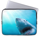 Search for jaws electronics Great white