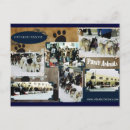 Search for sled postcards Iditarod