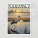 Search for storks postcards Europe