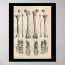 Search for bock posters Vintage