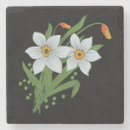 Search for tulip barware White