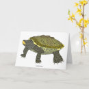 Search for terrapins cards Turtle