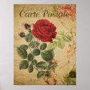 Search for perfect rose postcards French