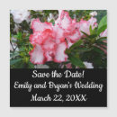 Search for azalea invitations Nature