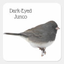 Search for junco stickers Nature