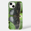 Search for flowers and butterflies iphone cases Tropical