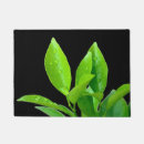 Search for spa doormats Green