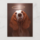 Search for halos postcards Dog