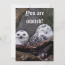 Search for snowy owl invitations Bird