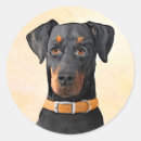 Search for doberman pinscher stickers Dobermann
