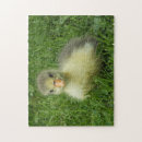 Search for goose puzzles Cute