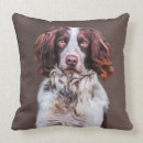 Search for english springer spaniel cushions Pet