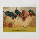 Search for vintage frog postcards Dogs