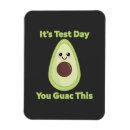 Search for testing magnets Teacher humour