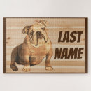 Search for english bulldog puzzles Pet