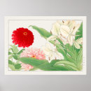 Search for white lily posters Flower