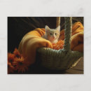 Search for lady friend postcards Kitten