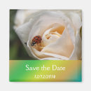 Search for ladybug save the dates Red