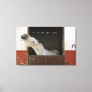Search for stable art Looking at camera