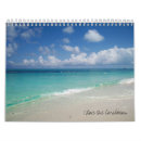 Search for turtle calendars Ocean