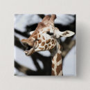 Search for fauna badges Africa