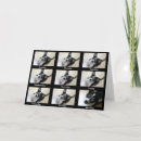 Search for for alcoholics anonymous cards Steps