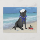 Search for black labrador retriever postcards Pets