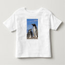 Search for gentoo tshirts Antarctica