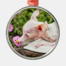 Search for adoption christmas tree decorations Dogs