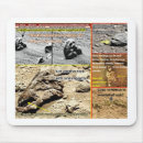 Search for humans electronics Bones