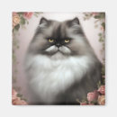 Search for cat breed magnets Cute