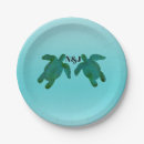 Search for turtle plates Summer