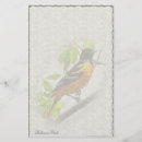 Search for baltimore oriole Wildlife