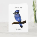 Search for bird lover birthday cards Blue jay