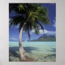 Search for french polynesia posters Boat