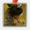 Search for puffin christmas tree decorations Ocean