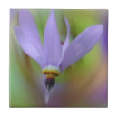 Search for lavender purple tiles Floral