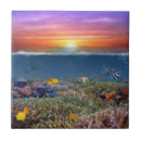 Search for coral reef tiles Ocean
