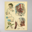 Search for doctors art Vintage