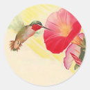Search for hummingbird stickers Garden