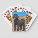Search for collar playing cards Black
