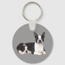 Search for boston terrier accessories Bostons