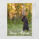 Search for finnish postcards Finland