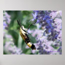 Search for nectar art Bees