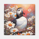 Search for puffin magnets Animal