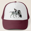 Search for hunting dog hats Pet